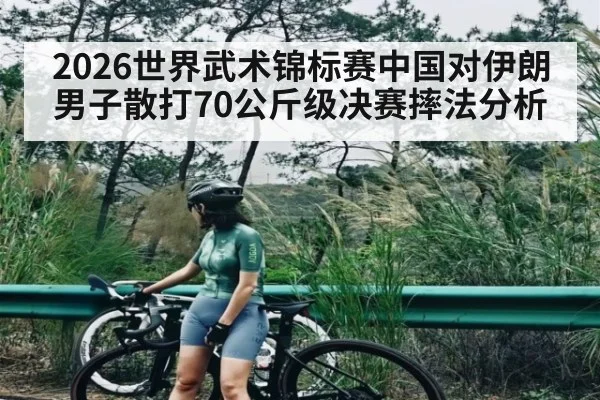 2026世界武术锦标赛中国对伊朗男子散打70公斤级决赛摔法分析